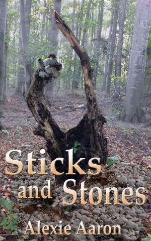 [Haunted Series 28] • Sticks and Stones